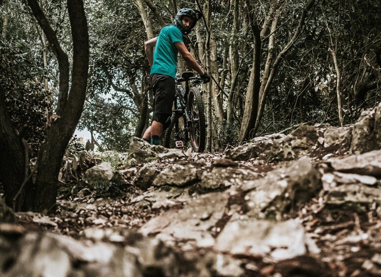 Picture 4 for Activity Kanfanar: Enduro Bike Tour with Istrian Delicacies Tasting
