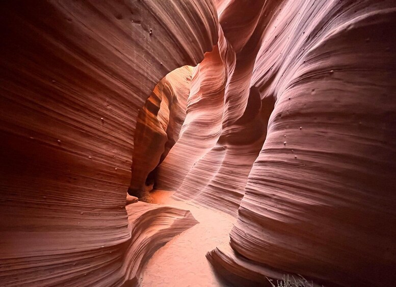 Picture 4 for Activity Page: Traditional Navajo Hogan Stay & Antelope Canyon Tour