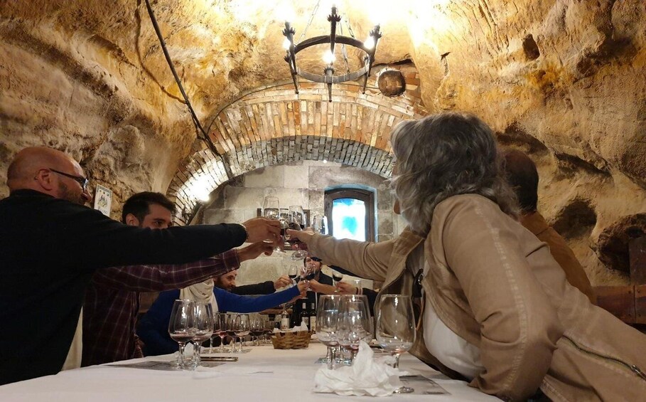 Picture 4 for Activity Aranda de Duero: Wine Tasting Course with Iberian Tasting