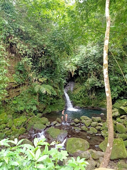 Picture 1 for Activity Hidden Waterfalls & Untouched Nature: 1-D all inclusive