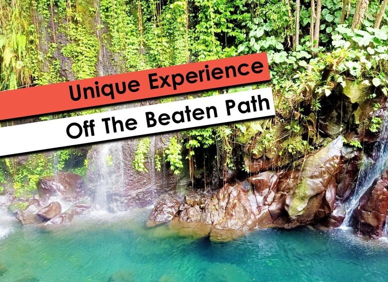 Hidden Waterfalls & Untouched Nature: 1-D all inclusive
