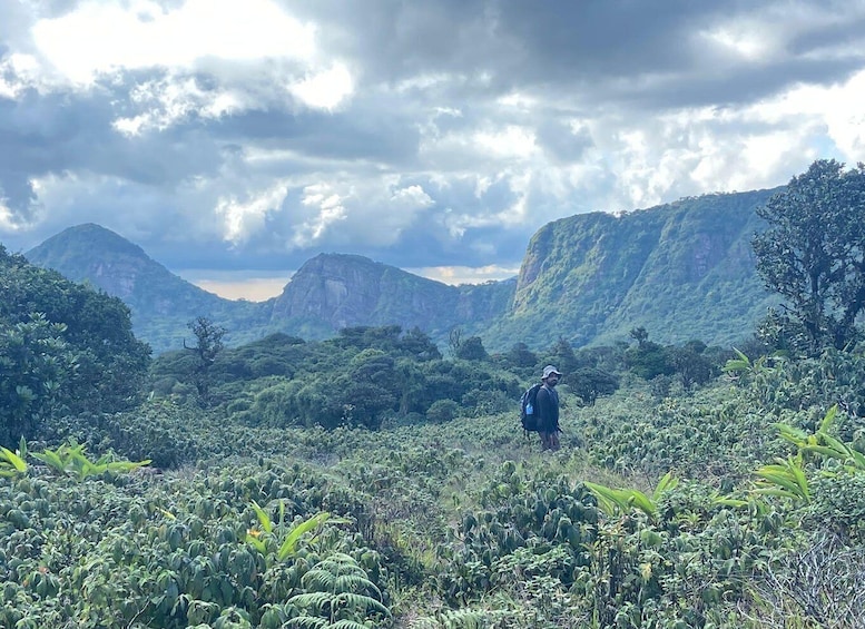 Picture 7 for Activity Knuckles Leopard trail Trek from Kandy