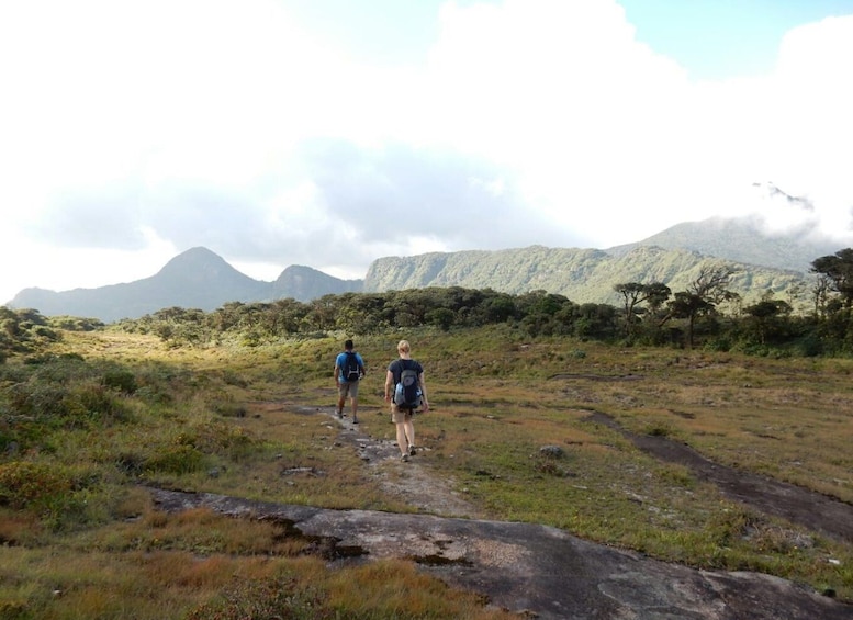 Knuckles Leopard trail Trek from Kandy