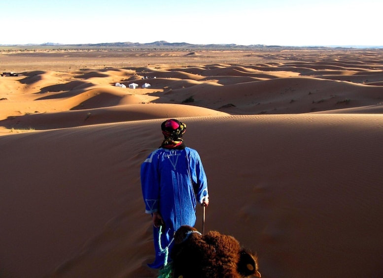 Picture 2 for Activity luxury desert camp with Camel Ride, meals & sandboarding