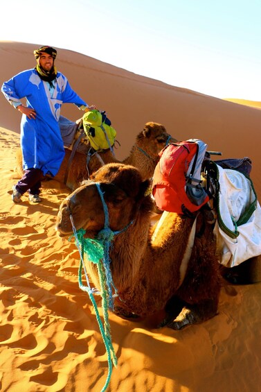 Picture 15 for Activity luxury desert camp with Camel Ride, meals & sandboarding