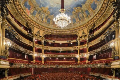 Visita privada a pie de los Palacios y el Teatro Colón