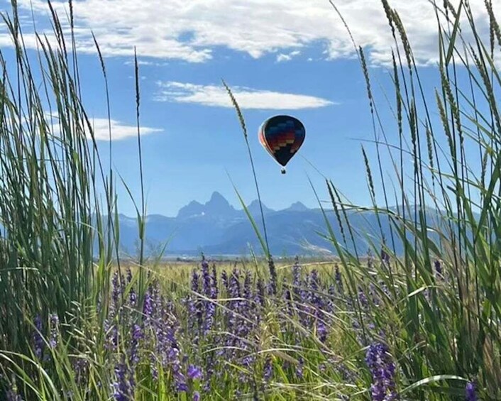 Picture 3 for Activity Teton Valley Balloon Flight