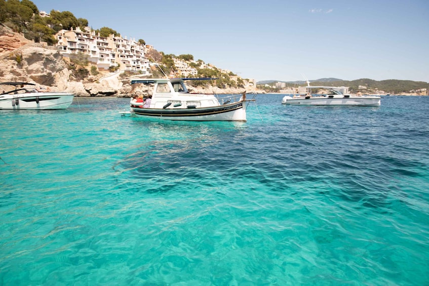 Picture 6 for Activity Santa Ponsa: 2-8 Hour Boat Rental (No License Needed)