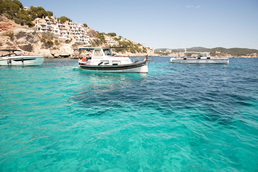 Picture 6 for Activity Santa Ponsa: BOAT Tour without license. Be the Captain!
