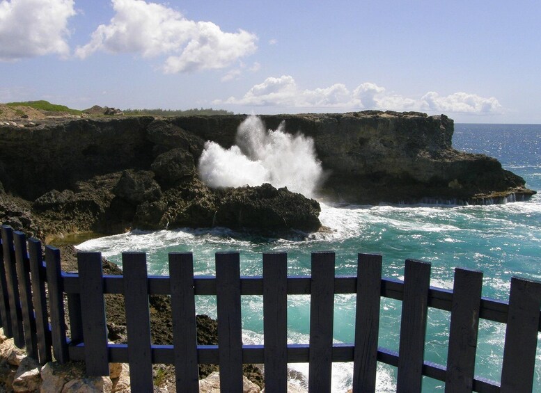 Picture 4 for Activity Barbados: Coastal Sightseeing Tour with Lunch and Transfers