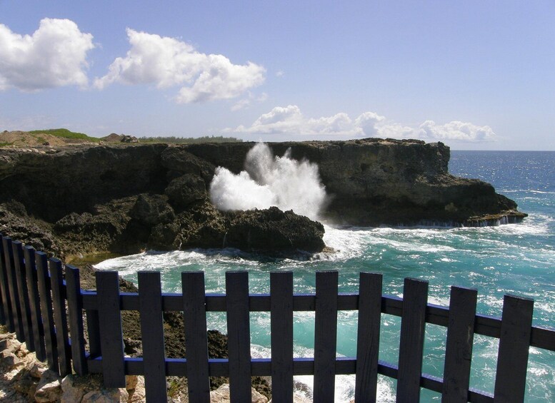 Picture 4 for Activity Barbados: Coastal Sightseeing Tour with Lunch and Transfers