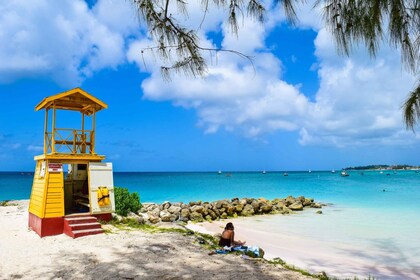 Barbados: Kustrondleiding met lunch en transfers