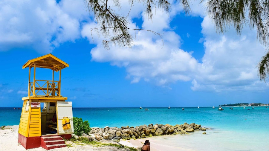 Barbados: Coastal Sightseeing Tour with Lunch and Transfers
