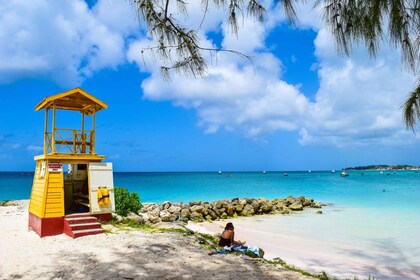 Barbados: recorrido turístico por la costa con almuerzo y traslados