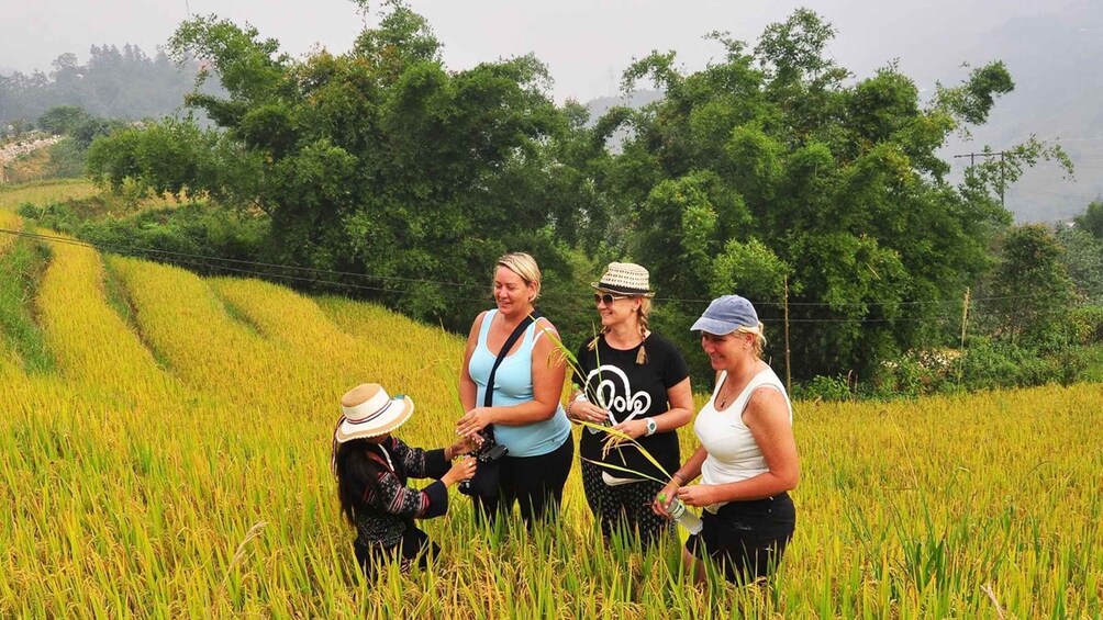 2 Day Sapa tour at homestay with long trek and sleeper bus