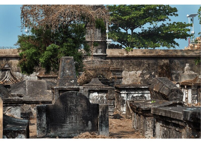 Picture 2 for Activity Heritage & Cultural Walk of Kochi (2 Hours Guided Tour)