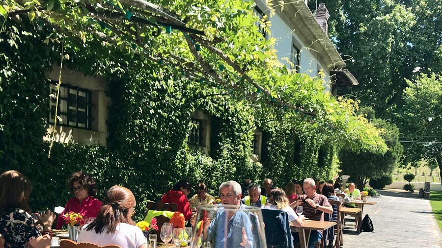 Douro: luxury walking with full lunch at Quinta da Pacheca