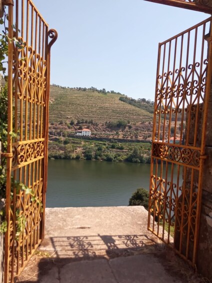 Picture 1 for Activity Douro: luxury walking with full lunch at Quinta da Pacheca