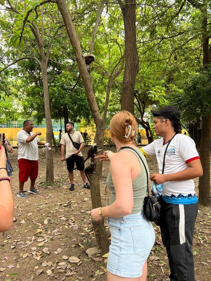 Picture 6 for Activity coffee class and gastronomic Getsemani tour by locals