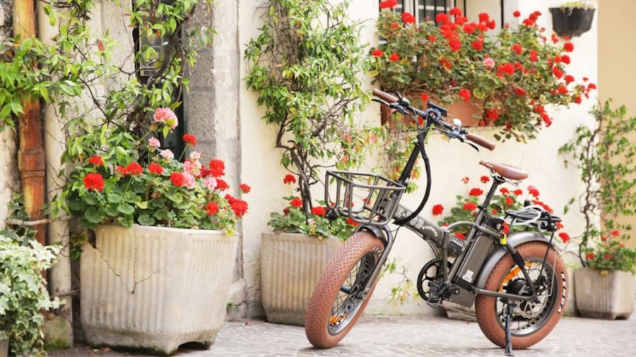 Cannes: rent an E-bike to visit the city