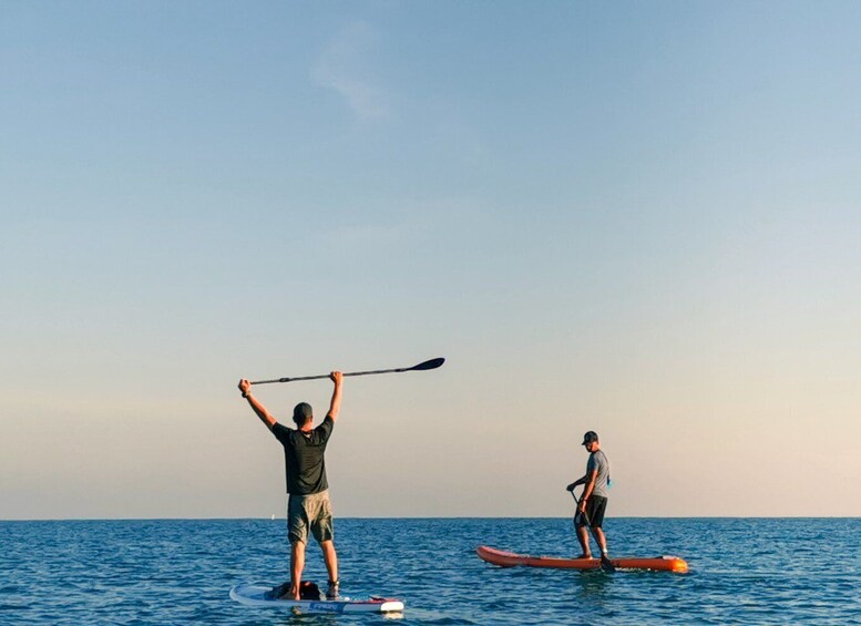 Picture 1 for Activity Standup Paddling in Negombo