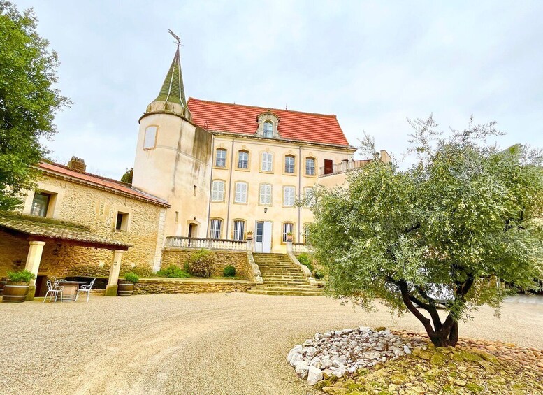 Picture 8 for Activity Wine tasting in Châteauneuf du Pape