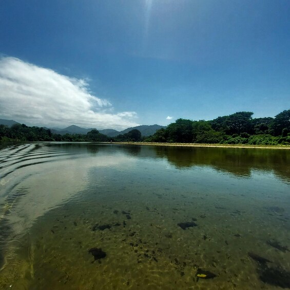 Picture 1 for Activity Desembocadura Rio Don Diego - Playa Los Cocos