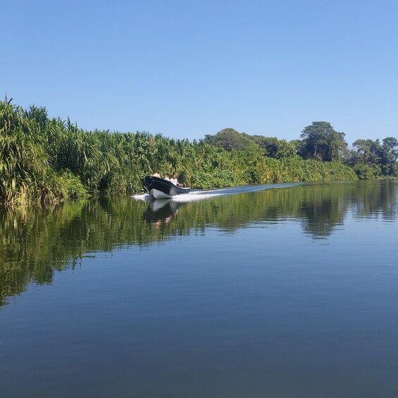 Picture 4 for Activity Desembocadura Rio Don Diego - Playa Los Cocos