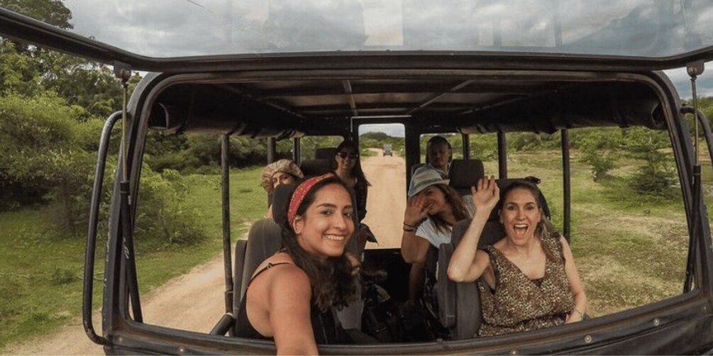 Picture 5 for Activity "Safari Adventure: Yala National Park Afternoon Expedition"