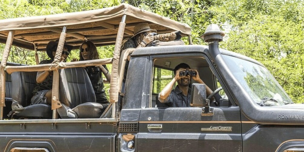 Picture 8 for Activity "Safari Adventure: Yala National Park Afternoon Expedition"