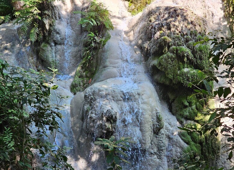 Picture 3 for Activity Chiang Mai: Sticky Waterfall Half-Day Tour & Hotel Transfers