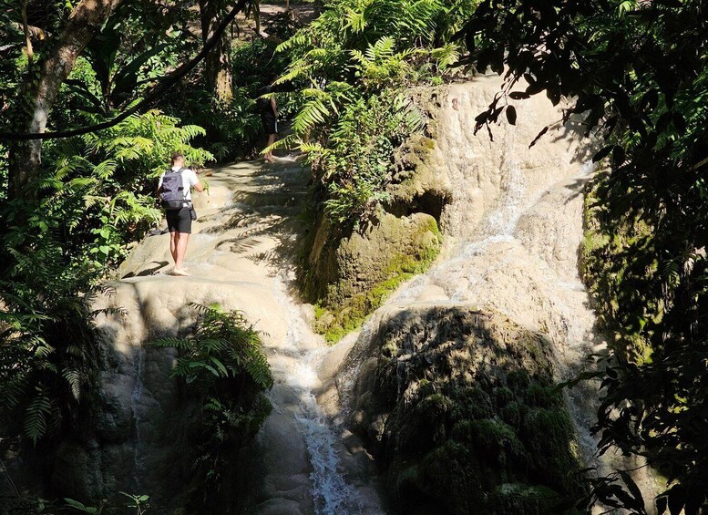 Picture 1 for Activity Chiang Mai: Sticky Waterfall Half-Day Tour & Hotel Transfers