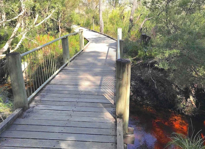 Picture 2 for Activity Noosa: Rainbow Beach Tour via Noosa Hinterland and Cooloola