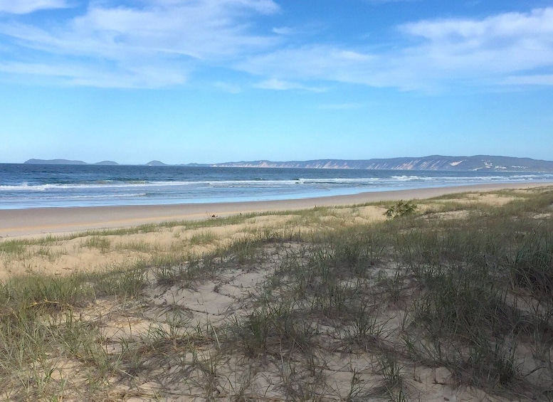 Picture 6 for Activity Noosa: Rainbow Beach Tour via Noosa Hinterland and Cooloola