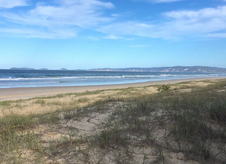 Picture 6 for Activity Noosa: Rainbow Beach Tour via Noosa Hinterland and Cooloola