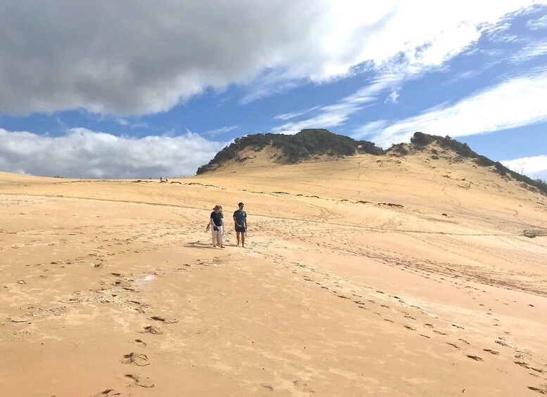 Picture 4 for Activity Noosa: Rainbow Beach Tour via Noosa Hinterland and Cooloola