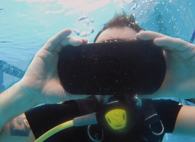 Immerse yourself between virtual and real in the ocean floor
