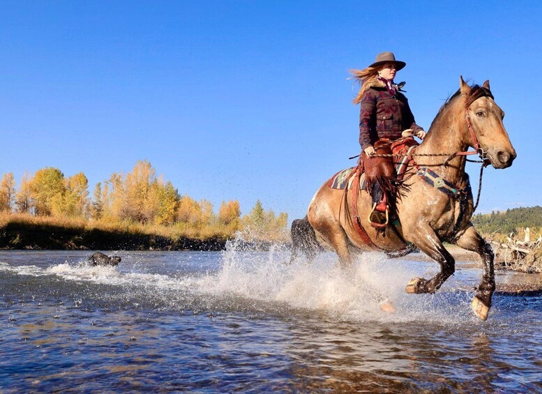 Picture 2 for Activity Tuscon: Rancho de Los Cerros Horseback Riding Tour