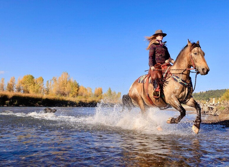 Picture 2 for Activity Tuscon Rancho Cerros Horseback Riding with Amazing Views