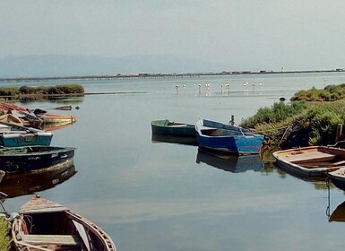 From Deltebre: Ebro Delta National Park Multi-Stop Day Trip