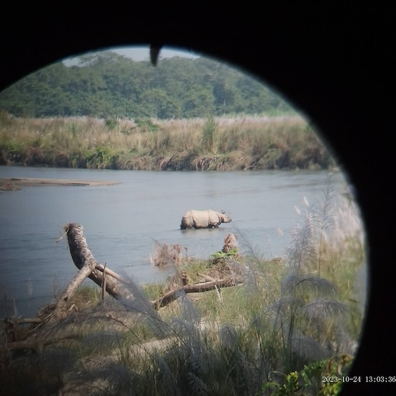 Picture 20 for Activity CHITWAN NATIONAL PARK FULL DAY PRIVATE JEEP SAFARI FROM MADI