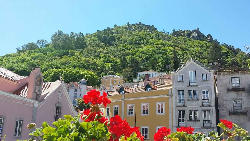 Picture 3 for Activity Sintra : Exclusive Full-Day Monuments Tour