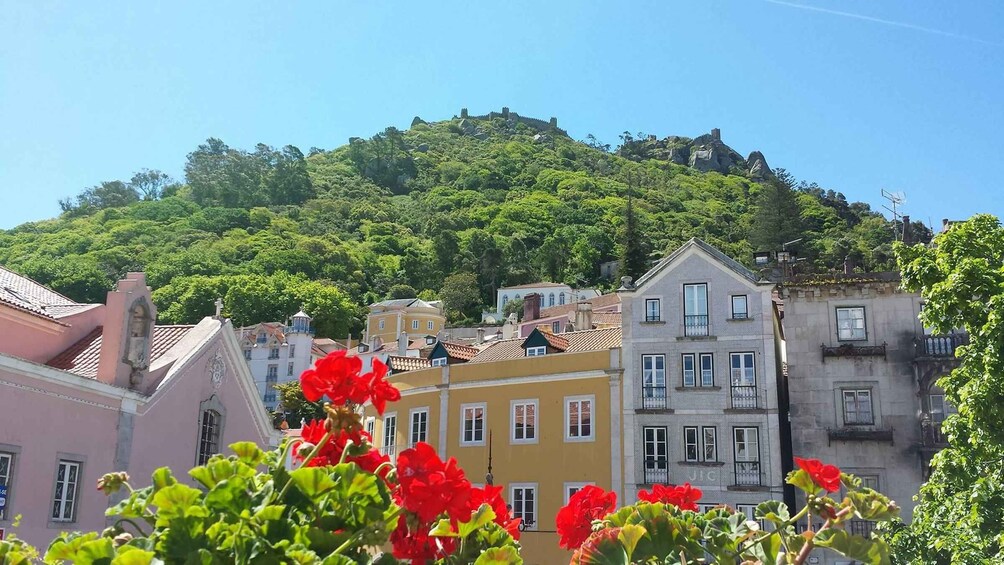 Picture 3 for Activity Sintra : Exclusive Full-Day Monuments Tour