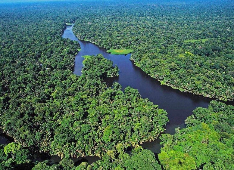 Picture 6 for Activity Tortuguero: Tour in the Tortuguero hill (dormant volcano)