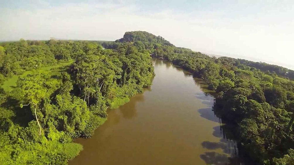 Picture 5 for Activity Tortuguero: Tour in the Tortuguero hill (dormant volcano)