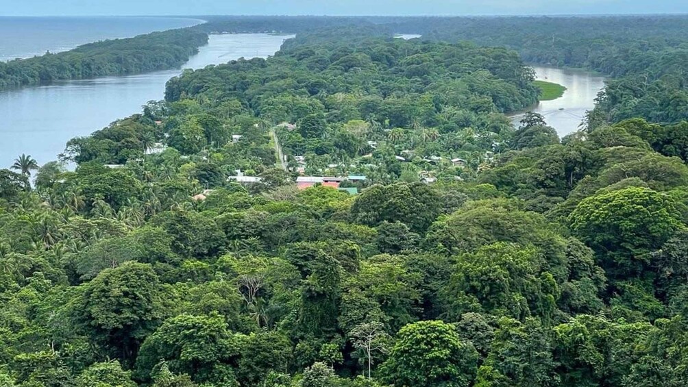 Picture 2 for Activity Tortuguero: Tour in the Tortuguero hill (dormant volcano)