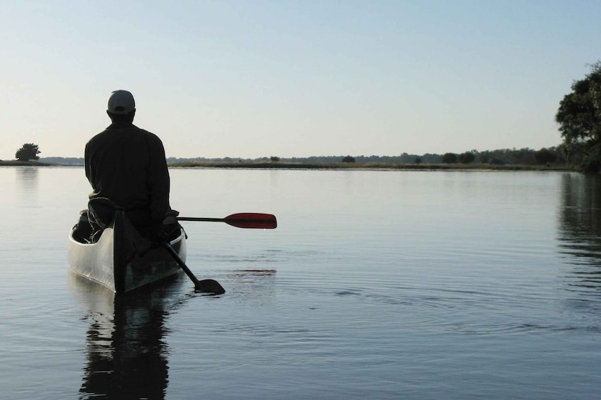 Picture 3 for Activity 9-Day Zambia Fly In |South Luangwa & Livingstone