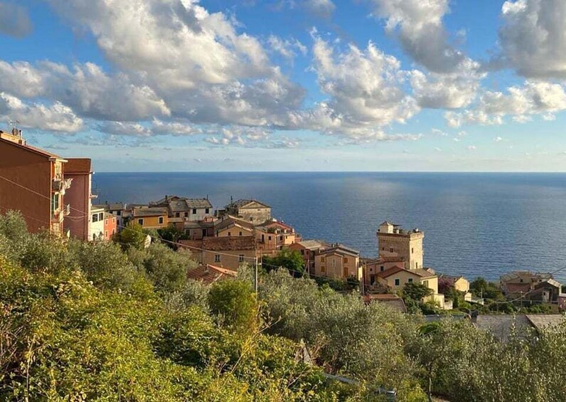 Picture 5 for Activity Levanto to Framura, the-new-5-Terre ebike tour with no crowd