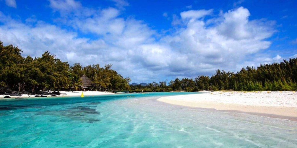 Picture 8 for Activity From Trou d'Eau Douce: Ile aux Cerfs Speedboat Tour w/ Lunch