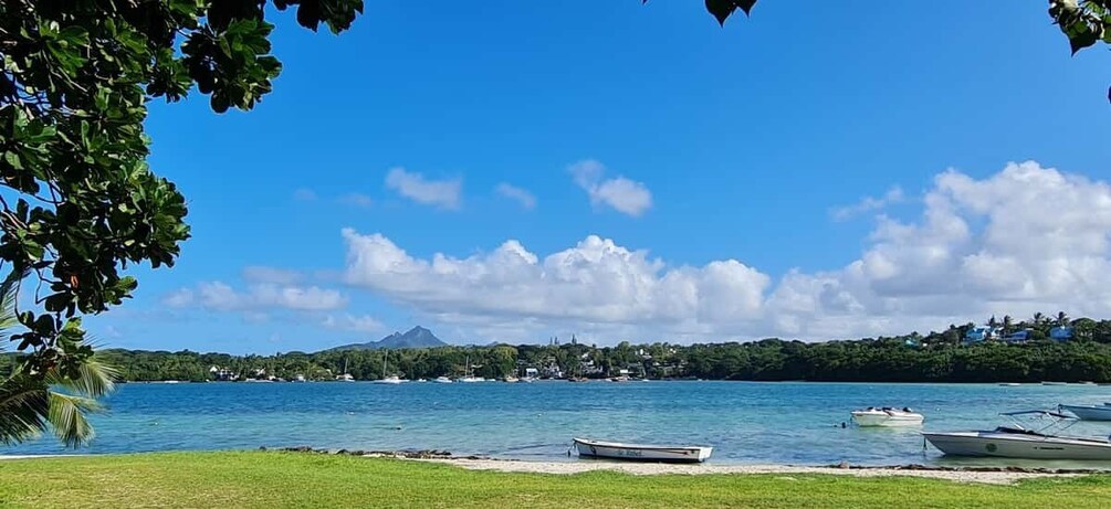 Picture 22 for Activity From Trou d'Eau Douce: Ile aux Cerfs Speedboat Tour w/ Lunch